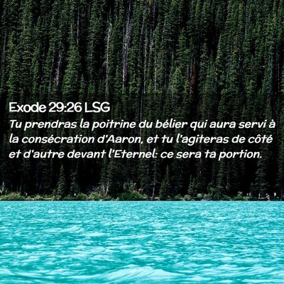 Picture 02 - Exode 29:26 LSG - Tu prendras la poitrine du bélier qui aura servi - Bible Verse Picture