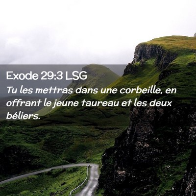 Picture 02 - Exode 29:3 LSG - Tu les mettras dans une corbeille, en offrant le - Bible Verse Picture