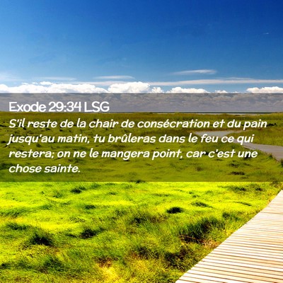 Picture 02 - Exode 29:34 LSG - S'il reste de la chair de consécration et du - Bible Verse Picture