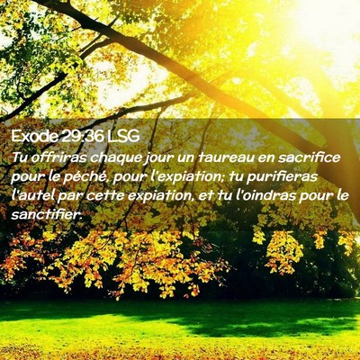 Picture 02 - Exode 29:36 LSG - Tu offriras chaque jour un taureau en sacrifice - Bible Verse Picture