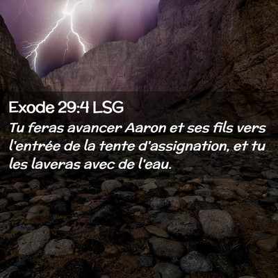 Picture 02 - Exode 29:4 LSG - Tu feras avancer Aaron et ses fils vers l'entrée - Bible Verse Picture