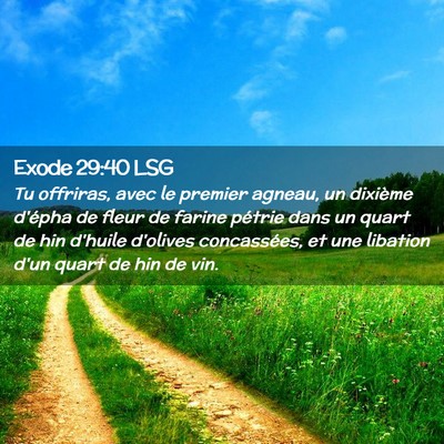 Picture 02 - Exode 29:40 LSG - Tu offriras, avec le premier agneau, un dixième - Bible Verse Picture