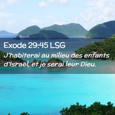 Picture 02 - Exode 29:45 LSG - J'habiterai au milieu des enfants d'Israël, et - Bible Verse Picture