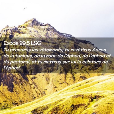 Picture 02 - Exode 29:5 LSG - Tu prendras les vêtements; tu revêtiras Aaron - Bible Verse Picture