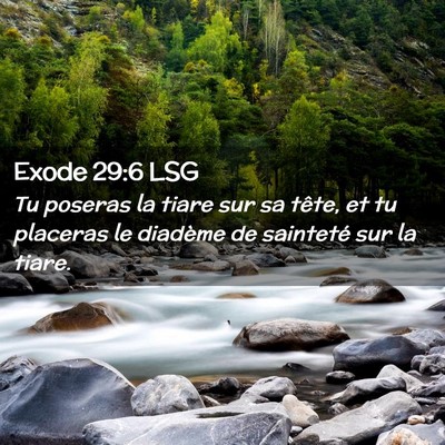 Picture 02 - Exode 29:6 LSG - Tu poseras la tiare sur sa tête, et tu placeras - Bible Verse Picture