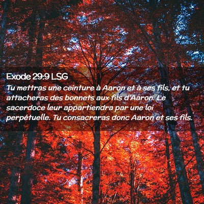 Picture 02 - Exode 29:9 LSG - Tu mettras une ceinture à Aaron et à ses fils, - Bible Verse Picture