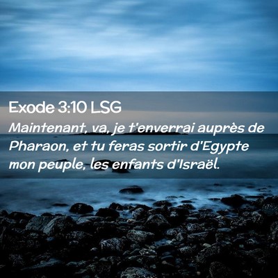 Picture 02 - Exode 3:10 LSG - Maintenant, va, je t'enverrai auprès de Pharaon, - Bible Verse Picture