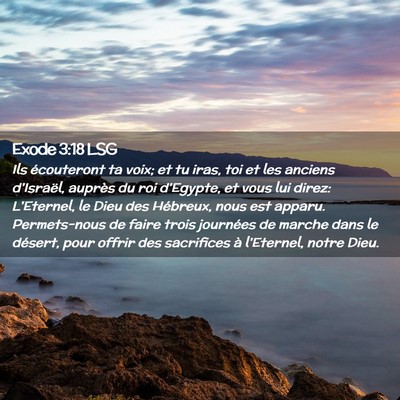 Picture 02 - Exode 3:18 LSG - Ils écouteront ta voix; et tu iras, toi et les - Bible Verse Picture