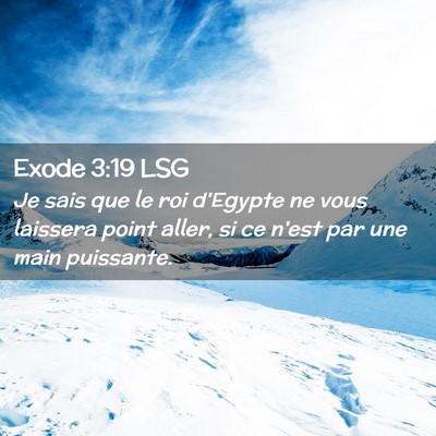 Picture 02 - Exode 3:19 LSG - Je sais que le roi d'Egypte ne vous laissera - Bible Verse Picture