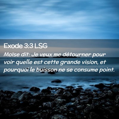 Picture 02 - Exode 3:3 LSG - Moïse dit: Je veux me détourner pour voir - Bible Verse Picture