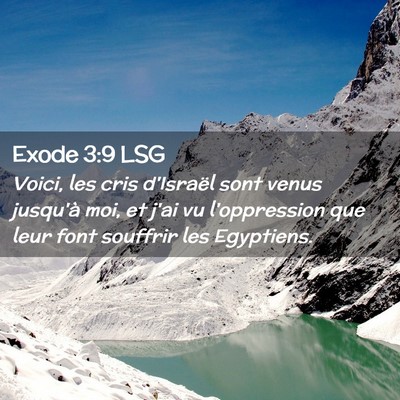Picture 02 - Exode 3:9 LSG - Voici, les cris d'Israël sont venus jusqu'à - Bible Verse Picture