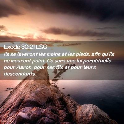 Picture 02 - Exode 30:21 LSG - Ils se laveront les mains et les pieds, afin - Bible Verse Picture