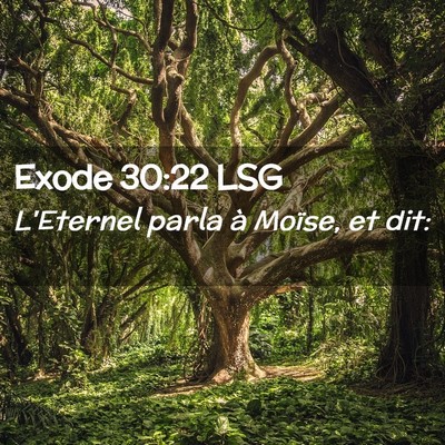 Picture 02 - Exode 30:22 LSG - L'Eternel parla à Moïse, et - Bible Verse Picture