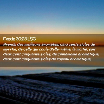 Picture 02 - Exode 30:23 LSG - Prends des meilleurs aromates, cinq cents sicles - Bible Verse Picture