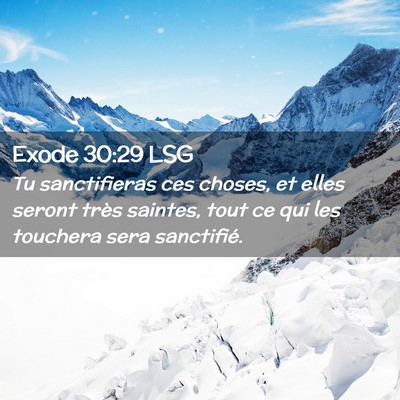 Picture 02 - Exode 30:29 LSG - Tu sanctifieras ces choses, et elles seront très - Bible Verse Picture