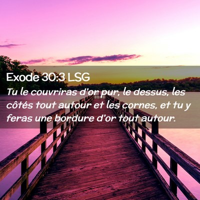 Picture 02 - Exode 30:3 LSG - Tu le couvriras d'or pur, le dessus, les côtés - Bible Verse Picture