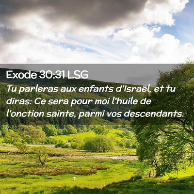 Picture 02 - Exode 30:31 LSG - Tu parleras aux enfants d'Israël, et tu diras: - Bible Verse Picture
