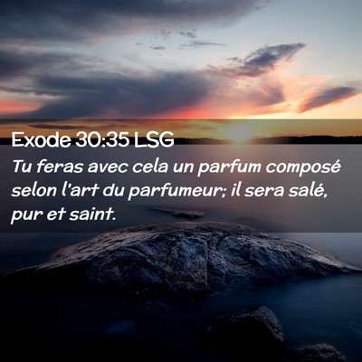 Picture 02 - Exode 30:35 LSG - Tu feras avec cela un parfum composé selon l'art - Bible Verse Picture