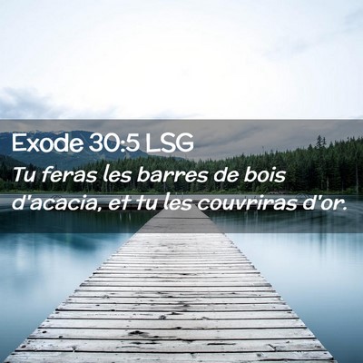 Picture 02 - Exode 30:5 LSG - Tu feras les barres de bois d'acacia, et tu les - Bible Verse Picture