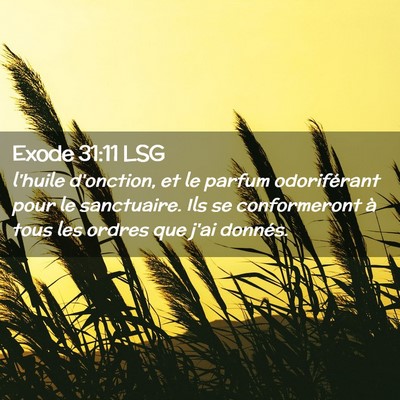 Picture 02 - Exode 31:11 LSG - l'huile d'onction, et le parfum odoriférant pour - Bible Verse Picture