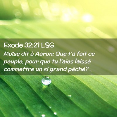 Picture 02 - Exode 32:21 LSG - Moïse dit à Aaron: Que t'a fait ce peuple, pour - Bible Verse Picture