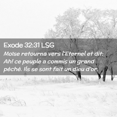 Picture 02 - Exode 32:31 LSG - Moïse retourna vers l'Eternel et dit: Ah! ce - Bible Verse Picture