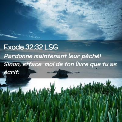 Picture 02 - Exode 32:32 LSG - Pardonne maintenant leur péché! Sinon, - Bible Verse Picture