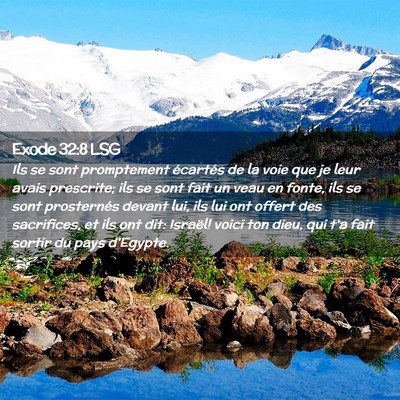 Picture 02 - Exode 32:8 LSG - Ils se sont promptement écartés de la voie que - Bible Verse Picture