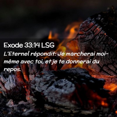 Picture 02 - Exode 33:14 LSG - L'Eternel répondit: Je marcherai moi-même avec - Bible Verse Picture