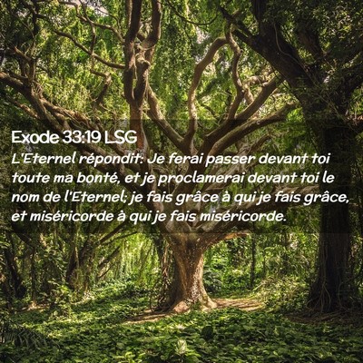 Picture 02 - Exode 33:19 LSG - L'Eternel répondit: Je ferai passer devant toi - Bible Verse Picture