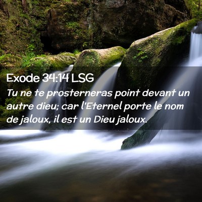 Picture 02 - Exode 34:14 LSG - Tu ne te prosterneras point devant un autre dieu; - Bible Verse Picture