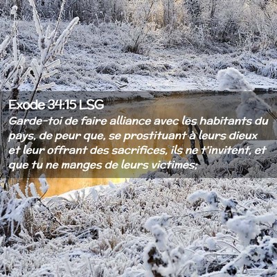 Picture 02 - Exode 34:15 LSG - Garde-toi de faire alliance avec les habitants du - Bible Verse Picture