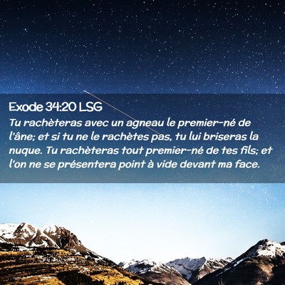 Picture 02 - Exode 34:20 LSG - Tu rachèteras avec un agneau le premier-né de - Bible Verse Picture