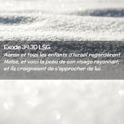 Picture 02 - Exode 34:30 LSG - Aaron et tous les enfants d'Israël regardèrent - Bible Verse Picture