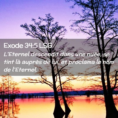 Picture 02 - Exode 34:5 LSG - L'Eternel descendit dans une nuée, se tint là - Bible Verse Picture