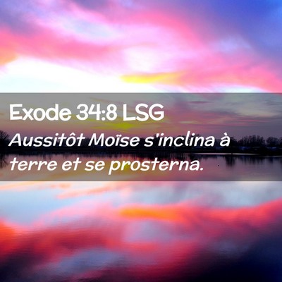 Picture 02 - Exode 34:8 LSG - Aussitôt Moïse s'inclina à terre et se - Bible Verse Picture