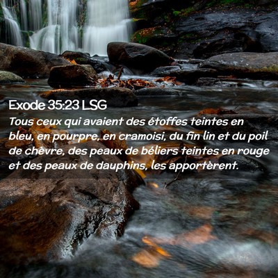Picture 02 - Exode 35:23 LSG - Tous ceux qui avaient des étoffes teintes en - Bible Verse Picture
