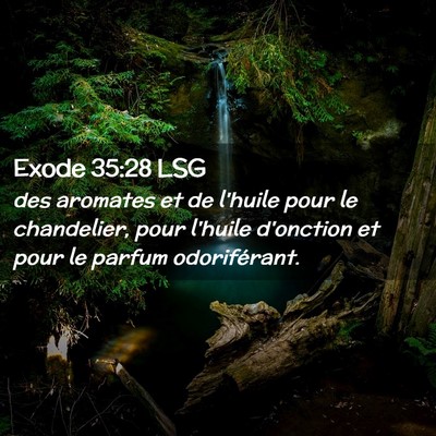 Picture 02 - Exode 35:28 LSG - des aromates et de l'huile pour le chandelier, - Bible Verse Picture