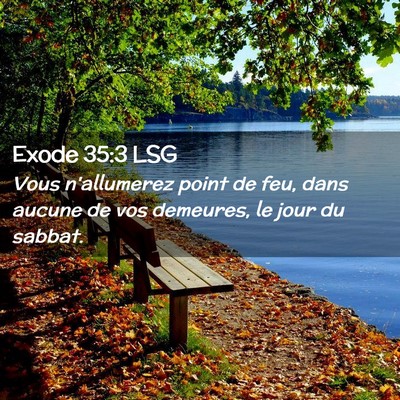 Picture 02 - Exode 35:3 LSG - Vous n'allumerez point de feu, dans aucune de vos - Bible Verse Picture