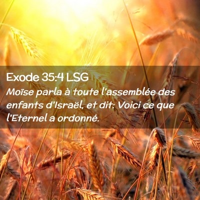 Picture 02 - Exode 35:4 LSG - Moïse parla à toute l'assemblée des enfants - Bible Verse Picture