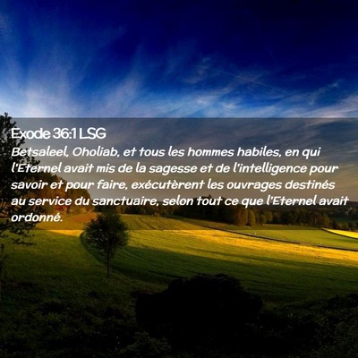 Picture 02 - Exode 36:1 LSG - Betsaleel, Oholiab, et tous les hommes habiles, - Bible Verse Picture