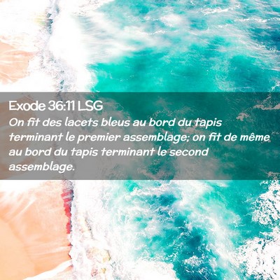 Picture 02 - Exode 36:11 LSG - On fit des lacets bleus au bord du tapis - Bible Verse Picture
