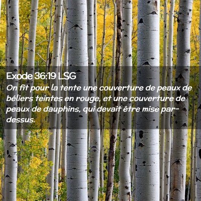 Picture 02 - Exode 36:19 LSG - On fit pour la tente une couverture de peaux de - Bible Verse Picture