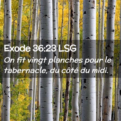 Picture 02 - Exode 36:23 LSG - On fit vingt planches pour le tabernacle, du - Bible Verse Picture