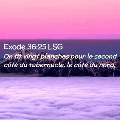 Picture 02 - Exode 36:25 LSG - On fit vingt planches pour le second côté du - Bible Verse Picture