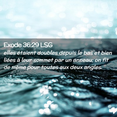 Picture 02 - Exode 36:29 LSG - elles étaient doubles depuis le bas et bien - Bible Verse Picture