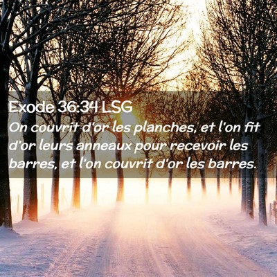 Picture 02 - Exode 36:34 LSG - On couvrit d'or les planches, et l'on fit d'or - Bible Verse Picture