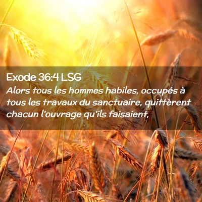 Picture 02 - Exode 36:4 LSG - Alors tous les hommes habiles, occupés à tous - Bible Verse Picture