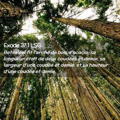 Picture 02 - Exode 37:1 LSG - Betsaleel fit l'arche de bois d'acacia; sa - Bible Verse Picture