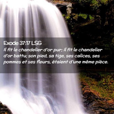 Picture 02 - Exode 37:17 LSG - Il fit le chandelier d'or pur; il fit le - Bible Verse Picture